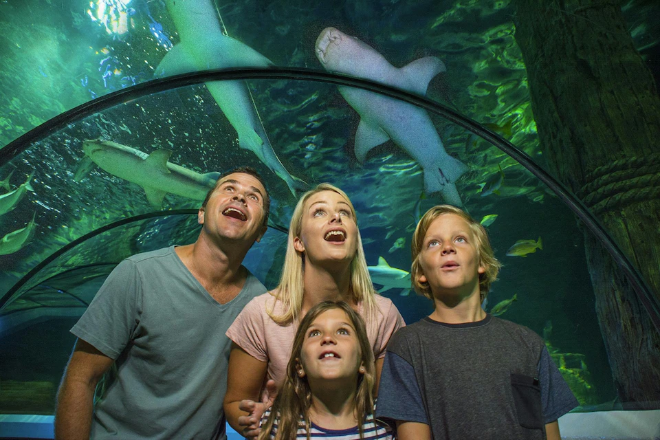 A family of four looks up in awe inside an underwater tunnel with sharks swimming above them.