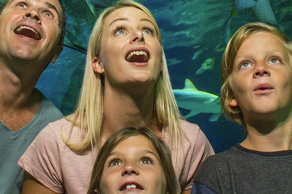 A family of four looks up in awe inside an underwater tunnel with sharks swimming above them.