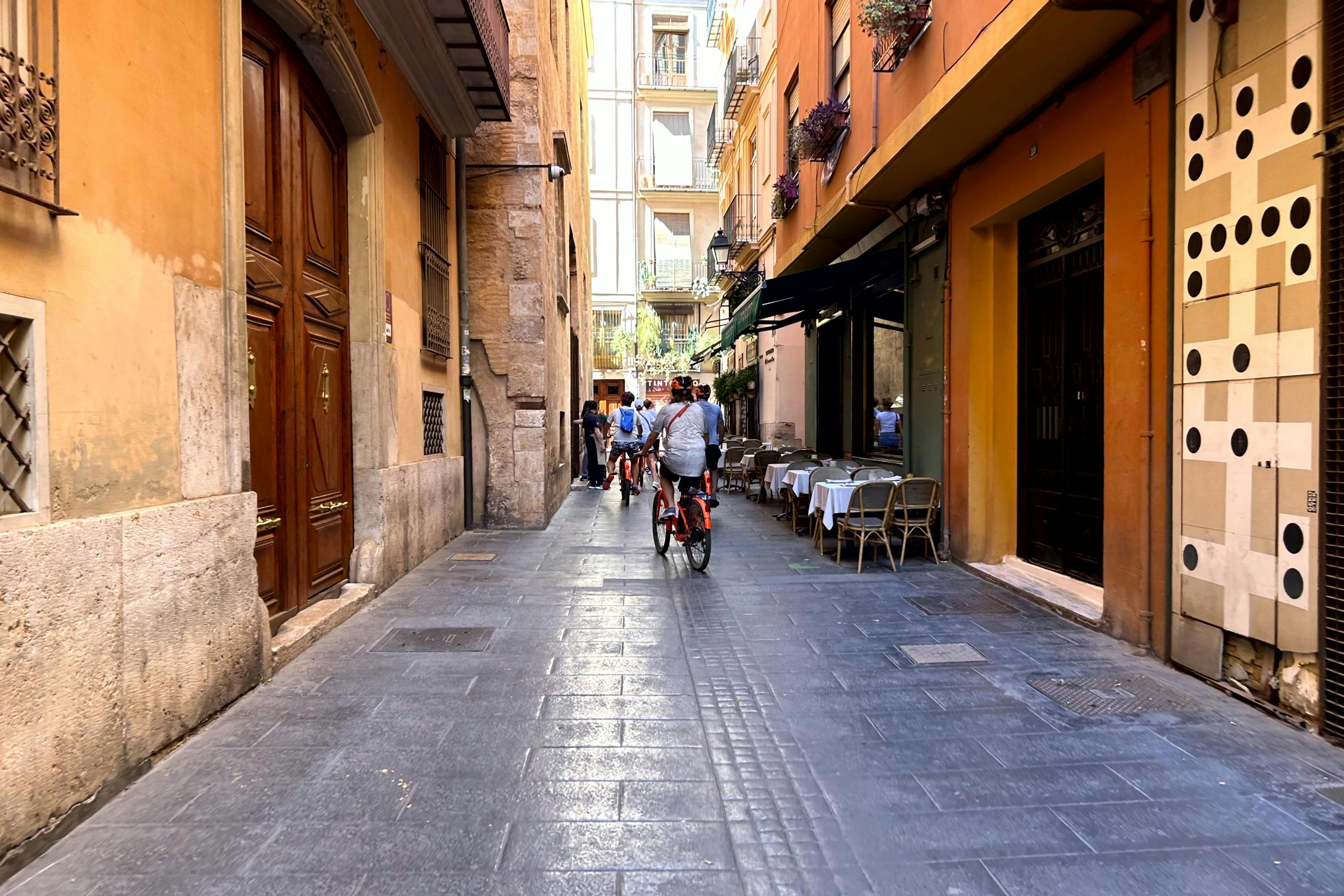 Guidet cykeltur i Valencia