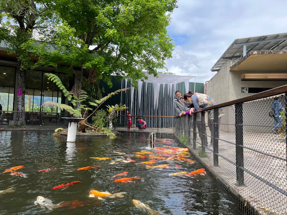 People observing colorful koi fish in a pond surrounded by greenery and a fenced walkway under a partly cloudy sky.