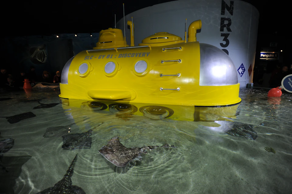 A yellow submarine model labeled "DISCOVERY" floats in an aquarium with stingrays swimming around.