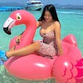 Schwimmender Flamingo auf dem Boot verfügbar