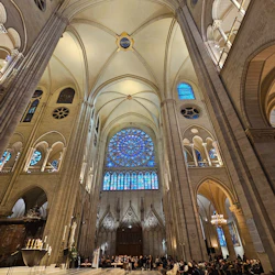 Notre-Dame Cathedral of Paris: Guided Tour 5