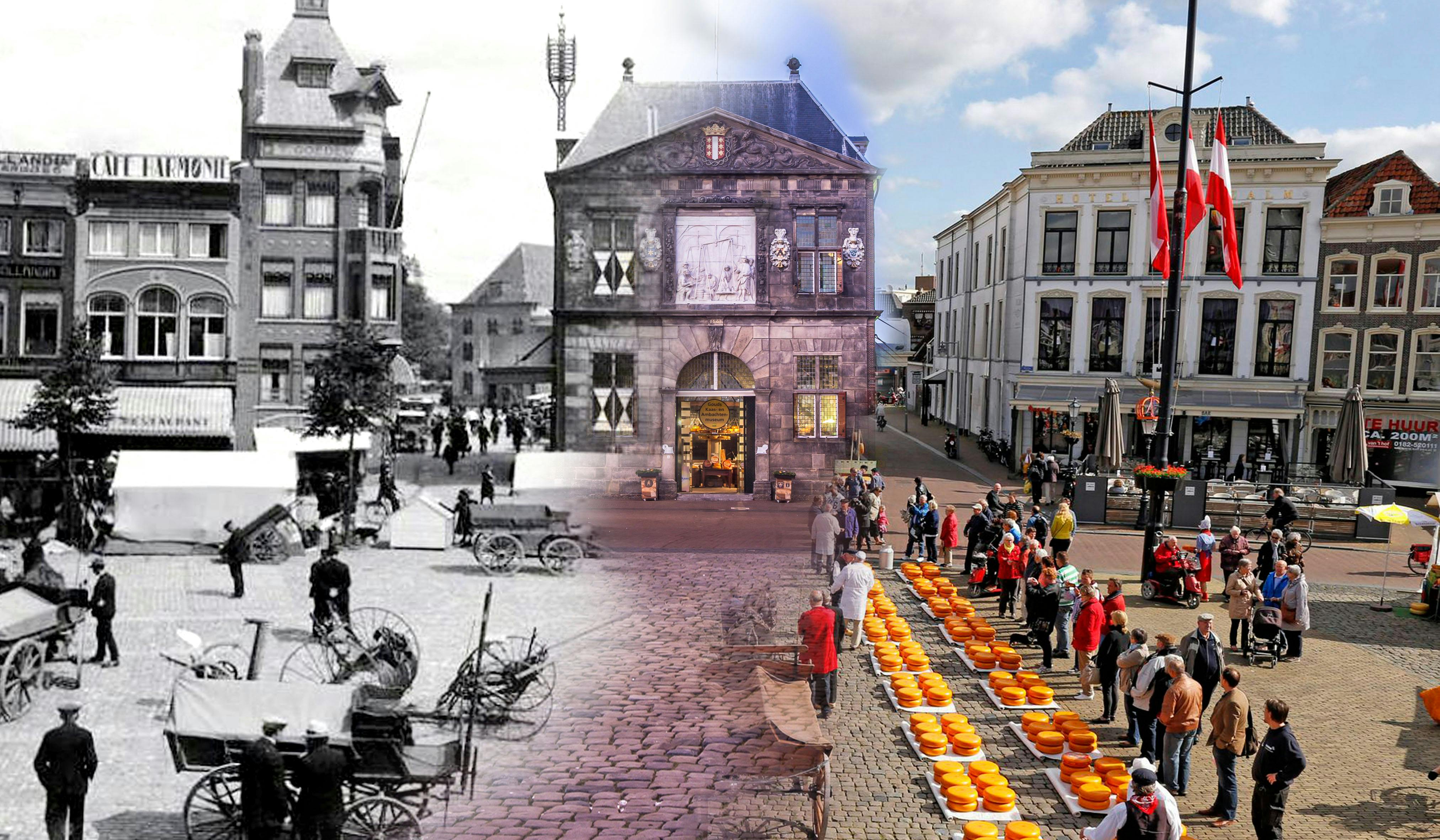 No image description available