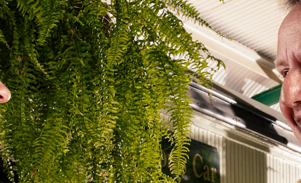 Two people sitting at a table with pastries, smiling at each other, under a metal and green-beamed roof with hanging ferns.