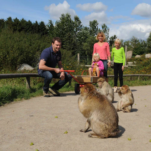 Givskud Zoo - Zootopia: bilhete de entrada - Photo 2