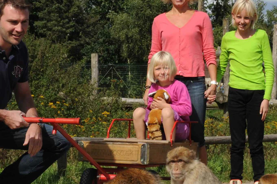 A family and three macaques on a paved path in an outdoor setting, with trees and a blue sky in the background.