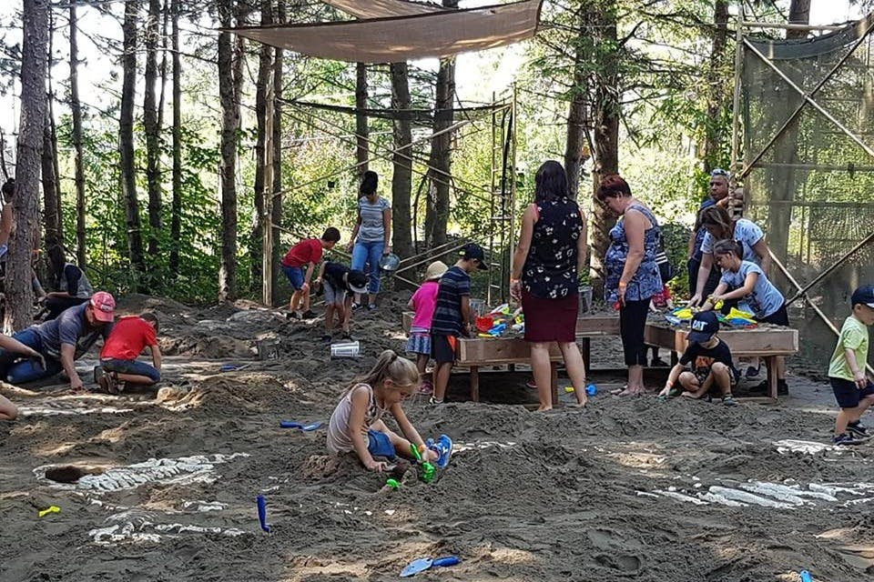 Tématický park Flight 315: Věk dinosaurů