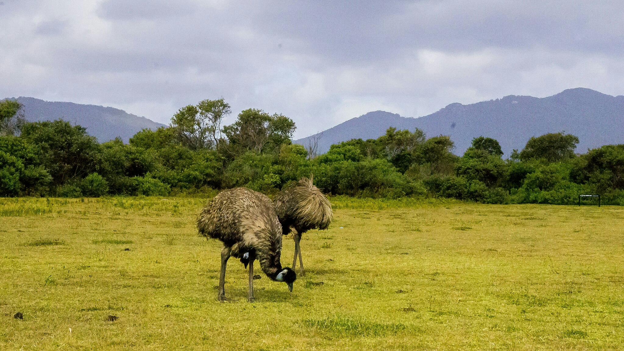 Wilsons Promontory National Park in Melbourne