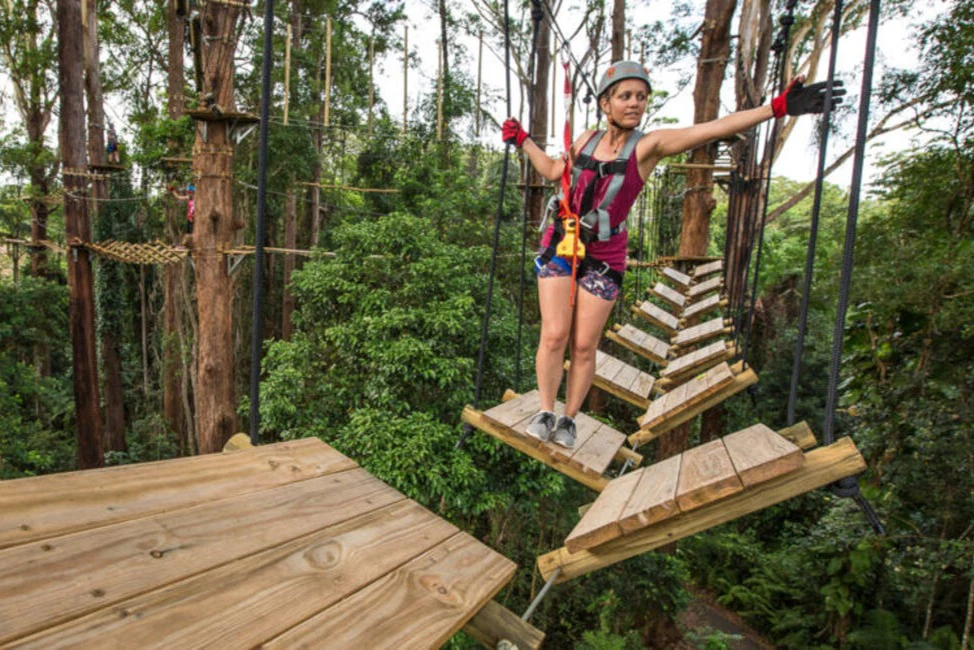 TreeTop Challenge Sunshine Coast: Admission Ticket