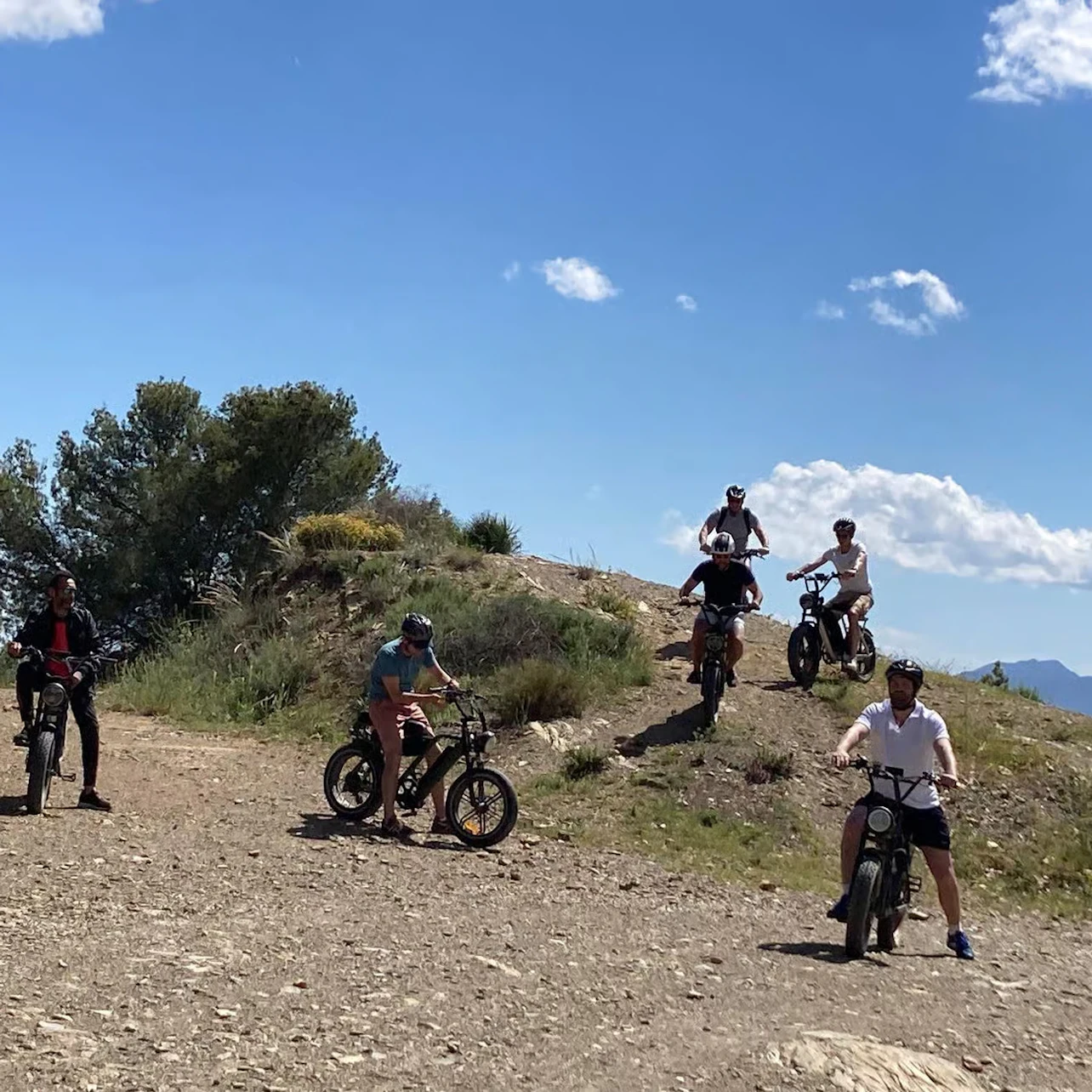 Málaga: Guided E-Fat Bike Tour