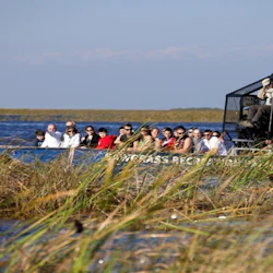 Everglades Express Tour from Fort Lauderdale + Airboat Ride