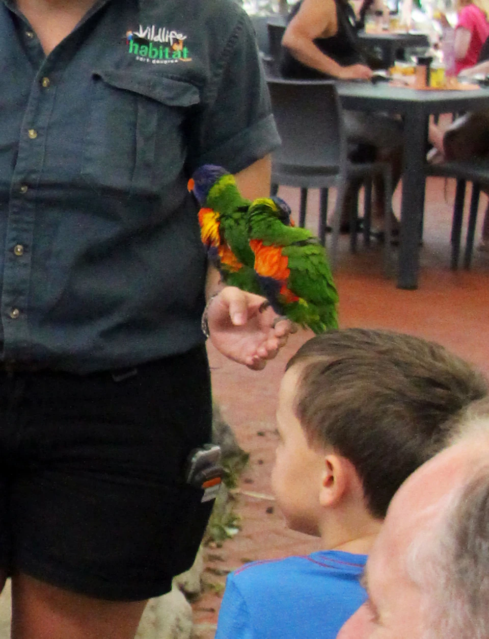 A family sits at a table with breakfast while a woman with parrots interacts with them in a lush, indoor dining area.