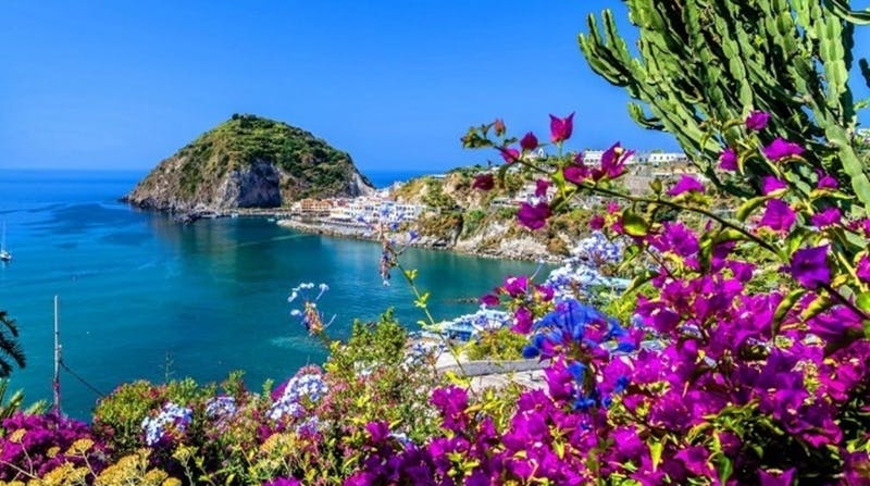Ischia Island: Day Tour from Naples with Lunch