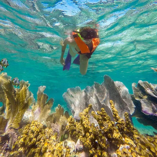Cancún Underwater Art Museum and Manchones Coral Reef: Snorkeling Tour