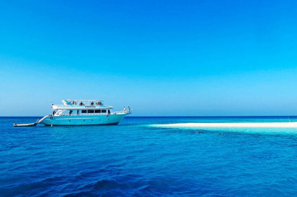 Shaab-Marsaalam-Dolphin House-Night-Dream-Boat