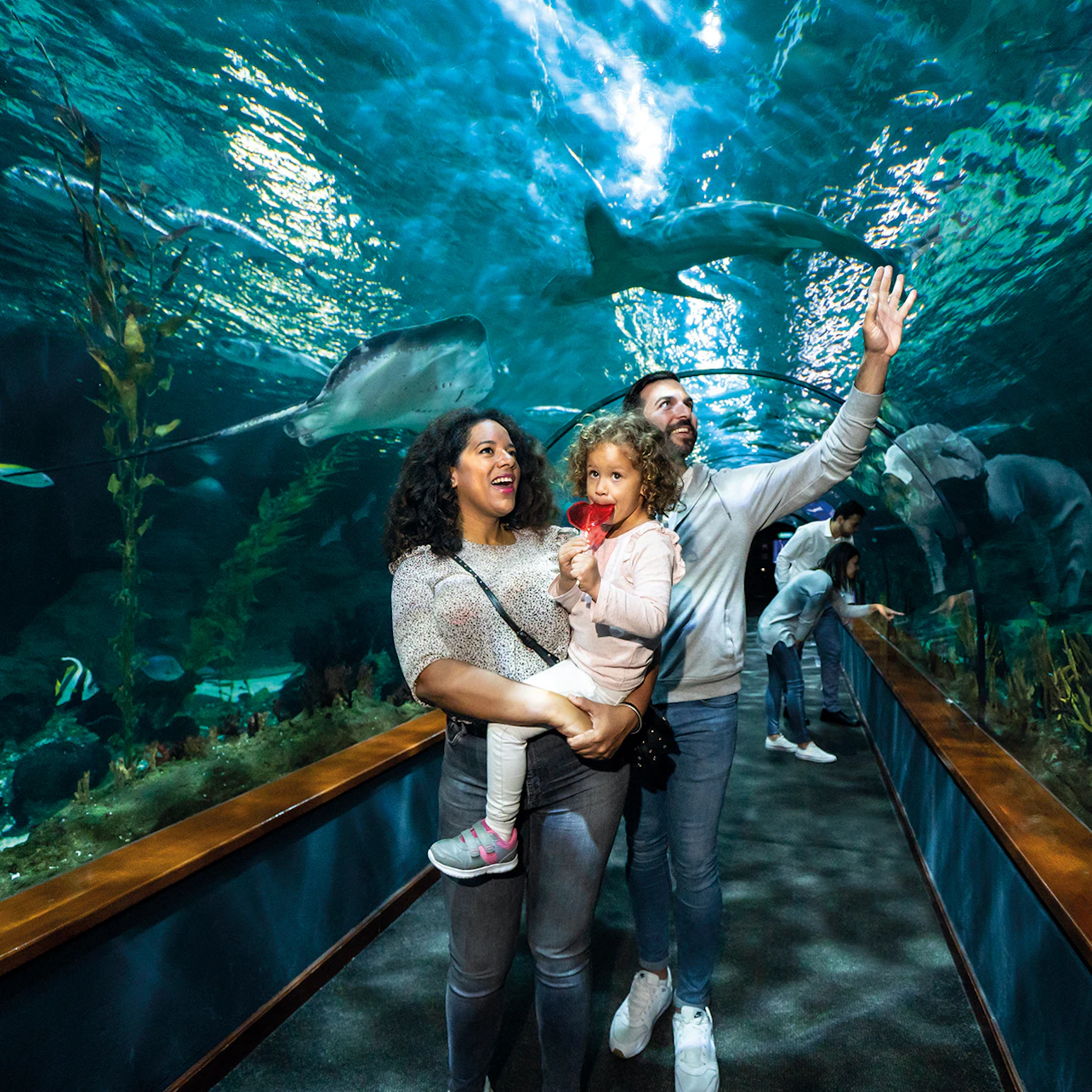 Loro Parque: Entry Ticket