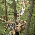 Treetrek Adventure Course