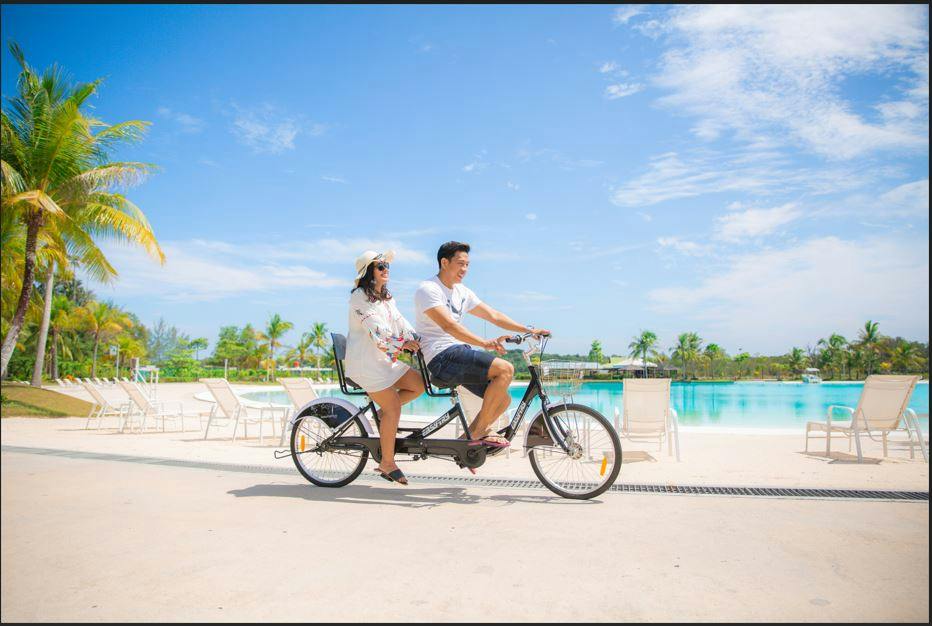 Two people riding a tandem bicycle near a poolside with palm trees and a bright blue sky in the background.