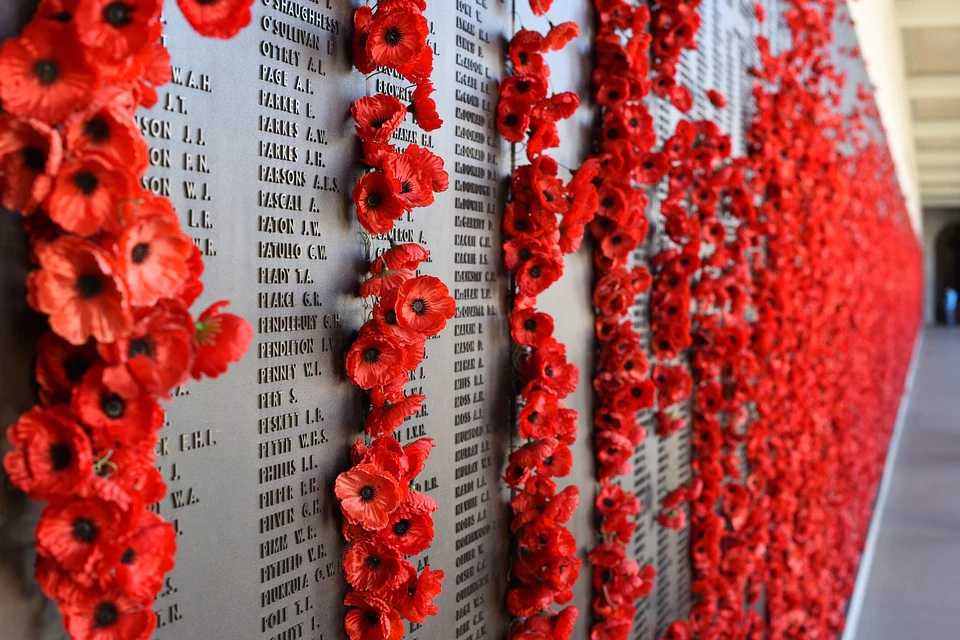 Gallipoli: Day Trip with Lunch from Istanbul