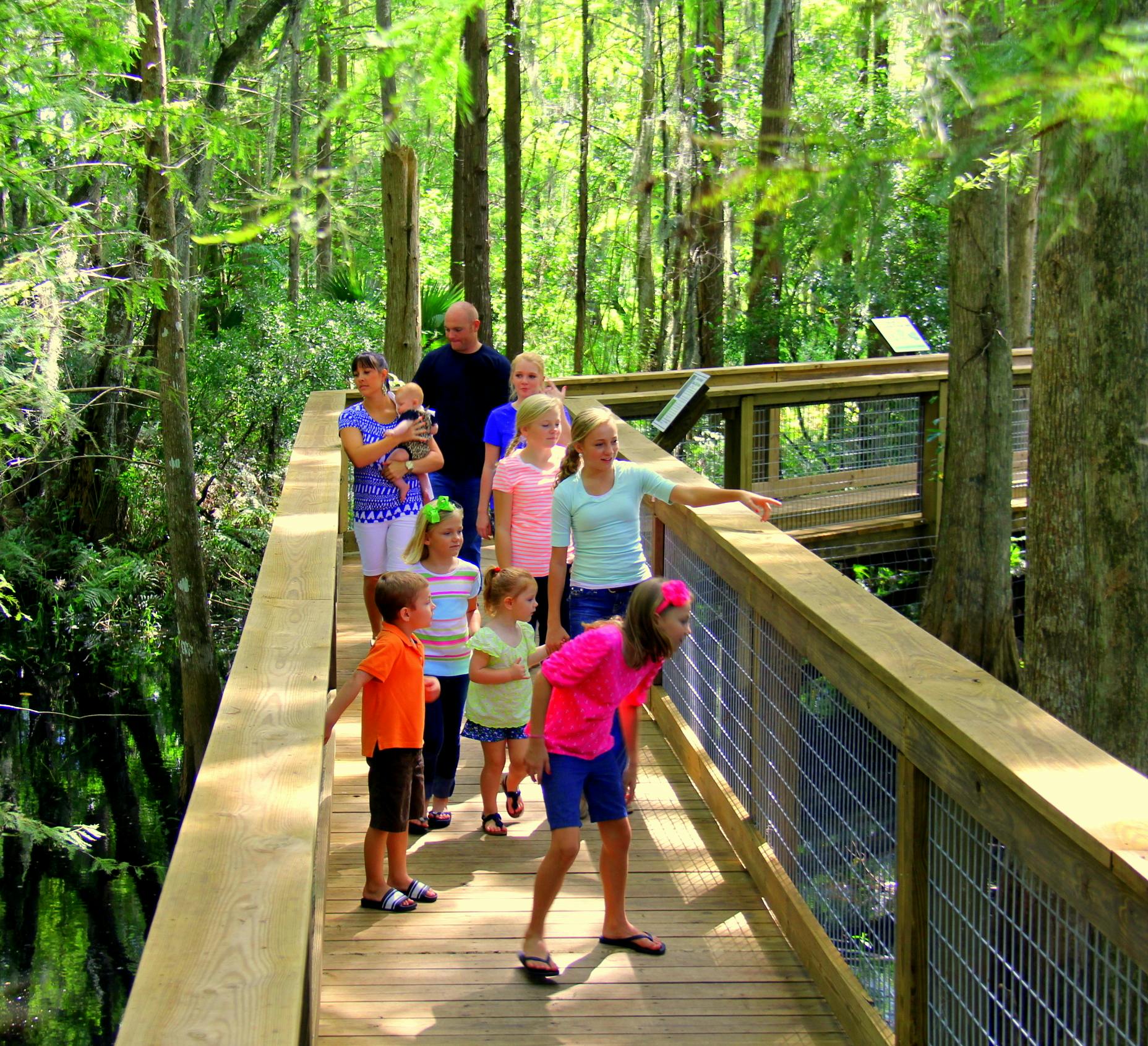 Grupo de niños y adultos caminando por un paseo marítimo de madera a través de una exuberante zona boscosa.