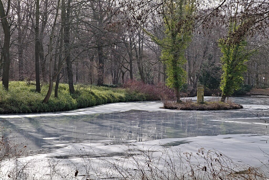 冰冻的湖泊位于冬季公园内，四周环绕着裸露的树木和绿地。 市中心有一个带有藤蔓覆盖树木的岛屿。