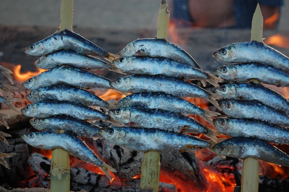 Anchovies