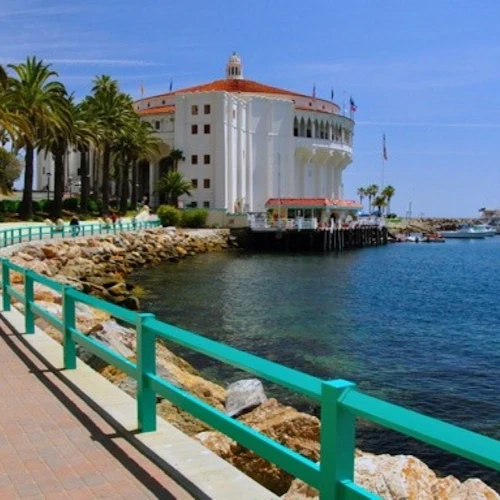Catalina Island: Day Trip with Undersea Sub Expedition - Photo 6