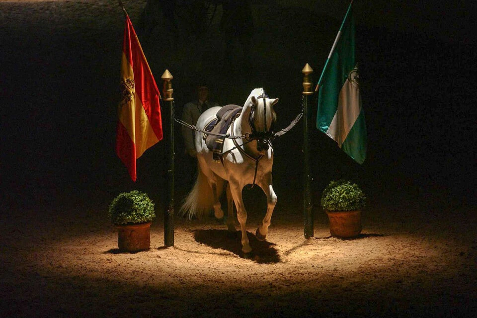 Como bailan los caballos andaluces