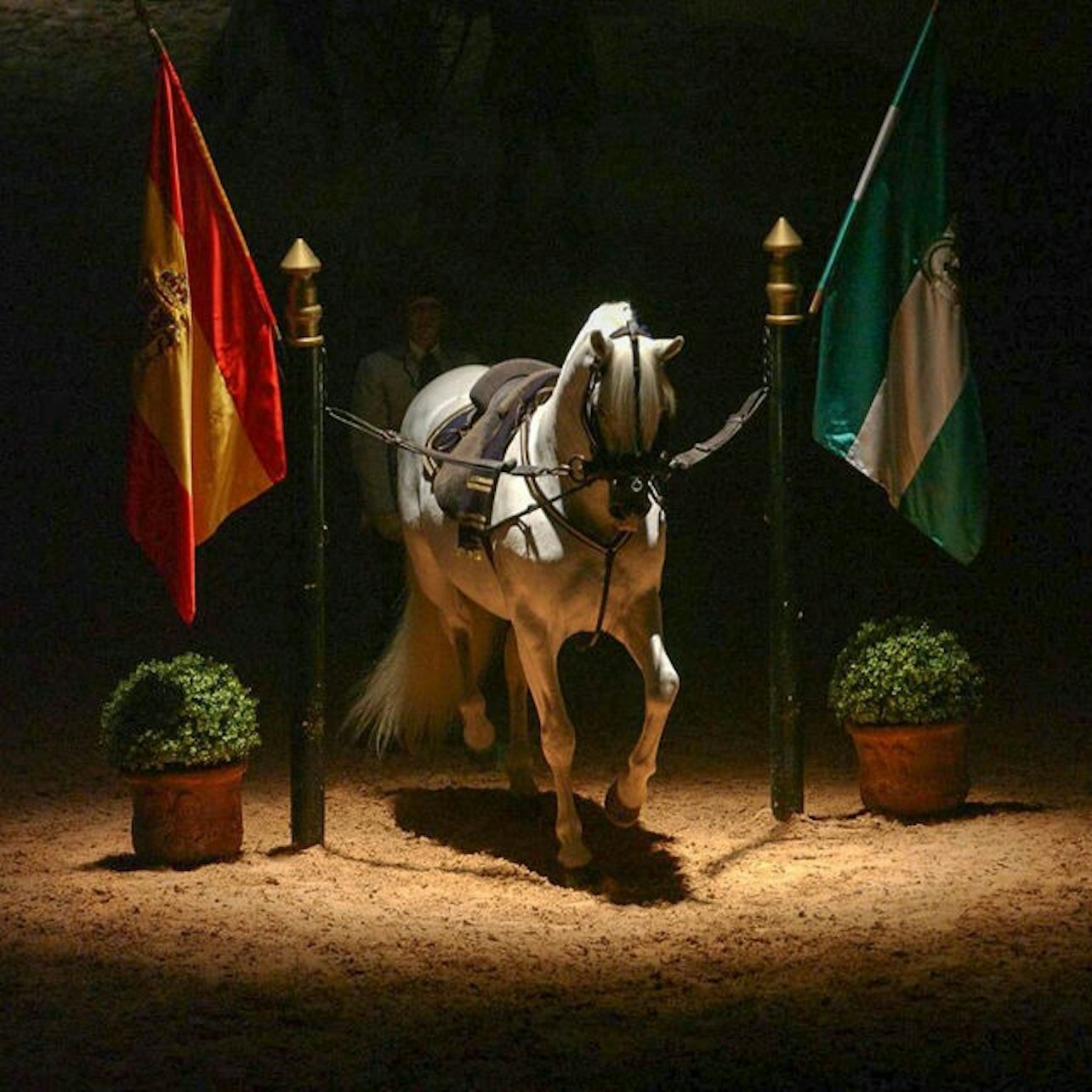 Scuola Reale Andalusa di Arte Equestre: Mostra del Cavallo Andaluso - Alloggi in Jerez de la Frontera