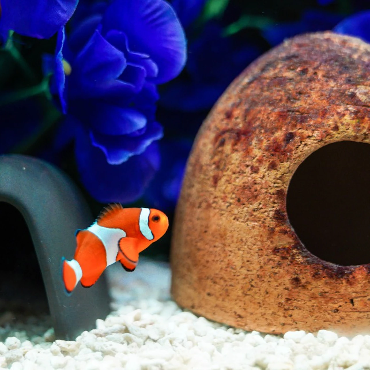 Lotte World Aquarium Seoul: Entry Ticket in Seoul β Tiqets