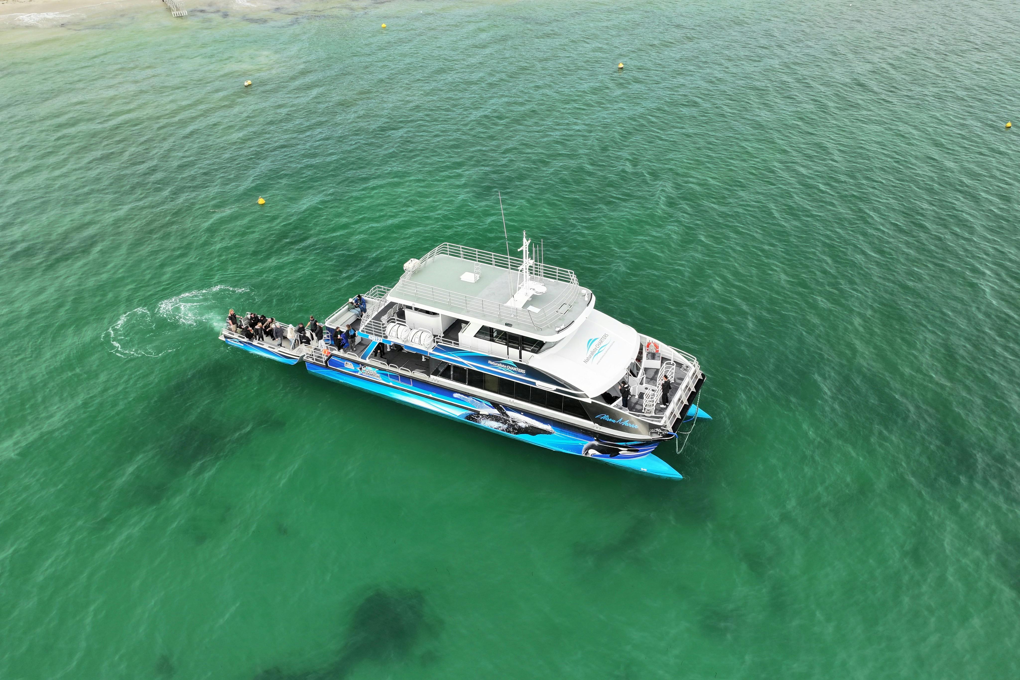 Dunsborough: Excursão para observação de baleias - Photo 5