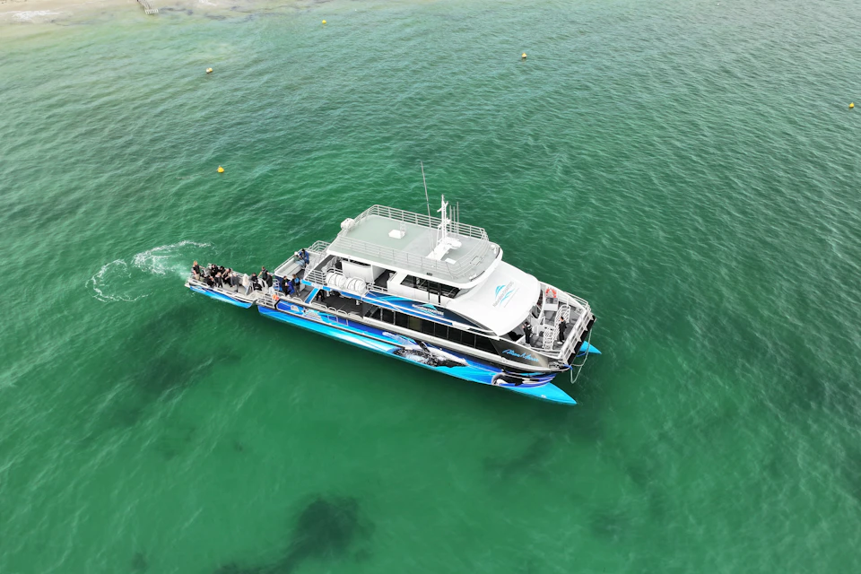 A blue and white tour boat with passengers on deck floats on clear green water under an overcast sky.
