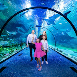 The National Aquarium Abu Dhabi