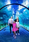 L'aquari nacional d'Abu Dhabi