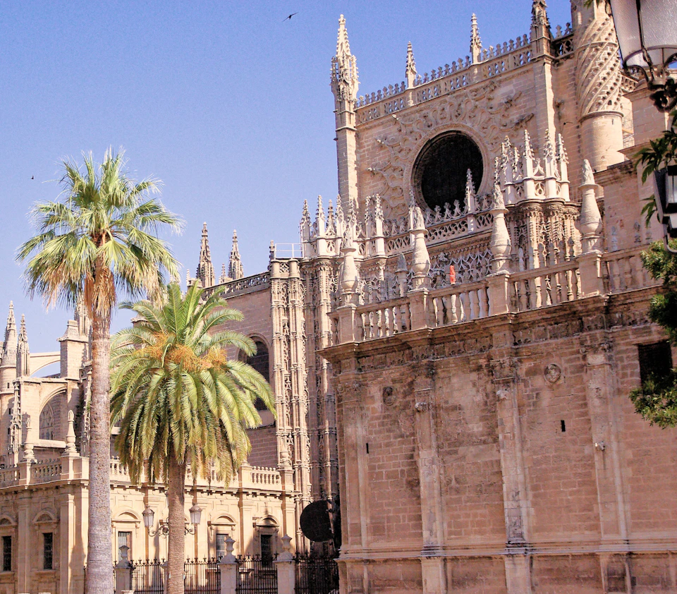 Historic stone cathedral with intricate gothic architecture beside palm trees under a clear blue sky.