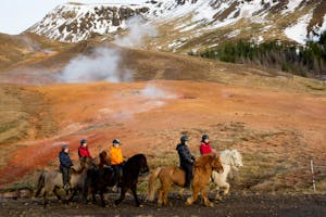 Rutas a caballo en Selfoss (Islandia)