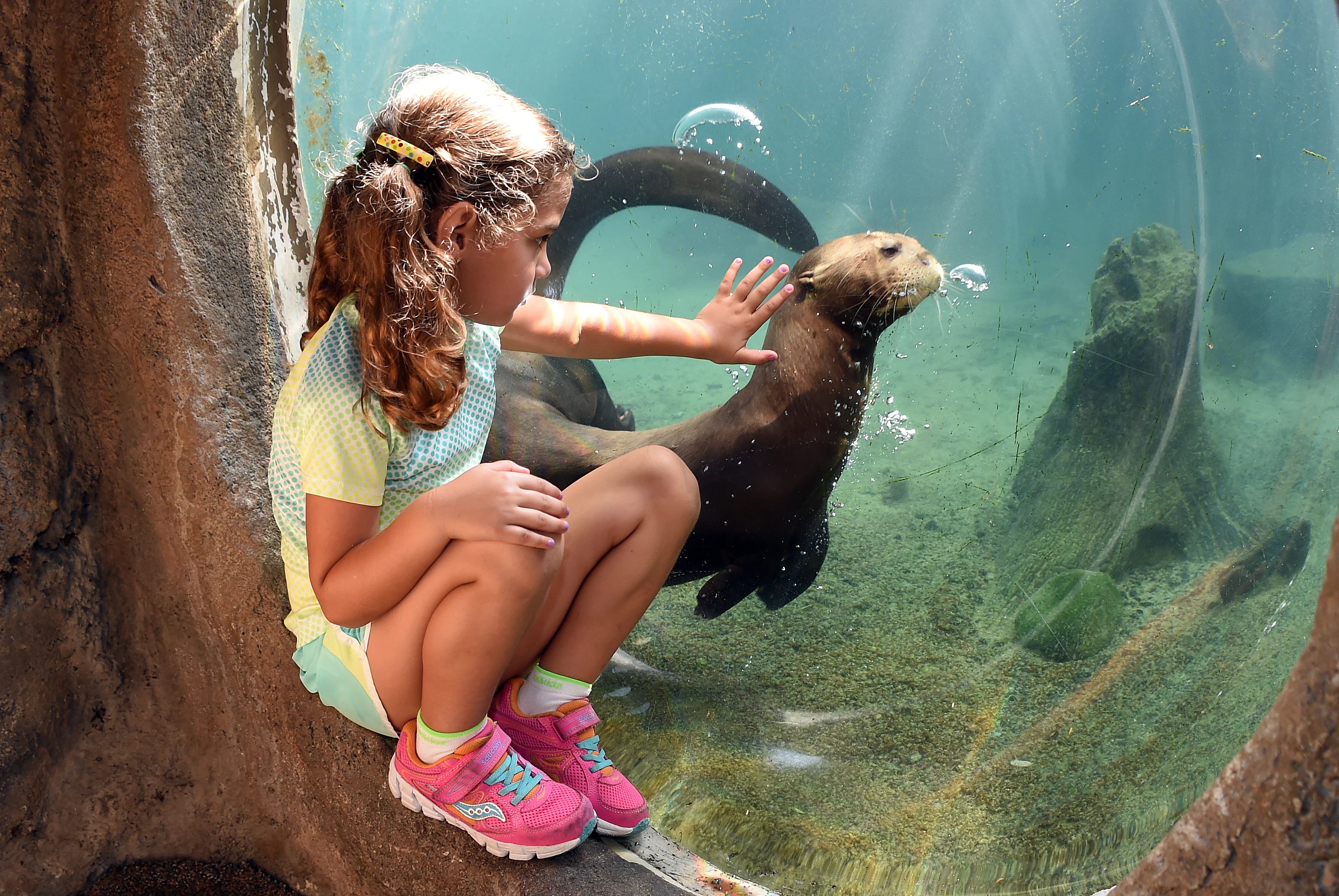 Zoo Miami + Miami Sightseeing Cruises