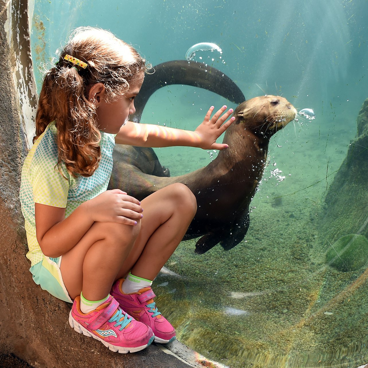 Zoo de Miami: Saltar la cola de entrada - Alojamientos en Miami