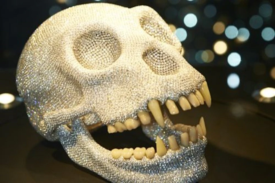 Skull