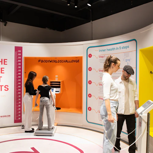 Amsterdam: Body Worlds + Canal Cruise - Photo 2