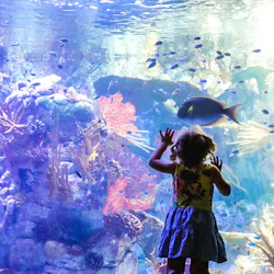 Go City San Diego: All-Inclusive Pass with 40+ Attractions 3