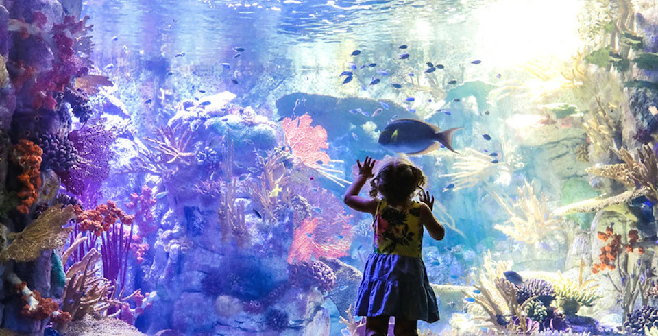 Birch Aquarium at Scripps