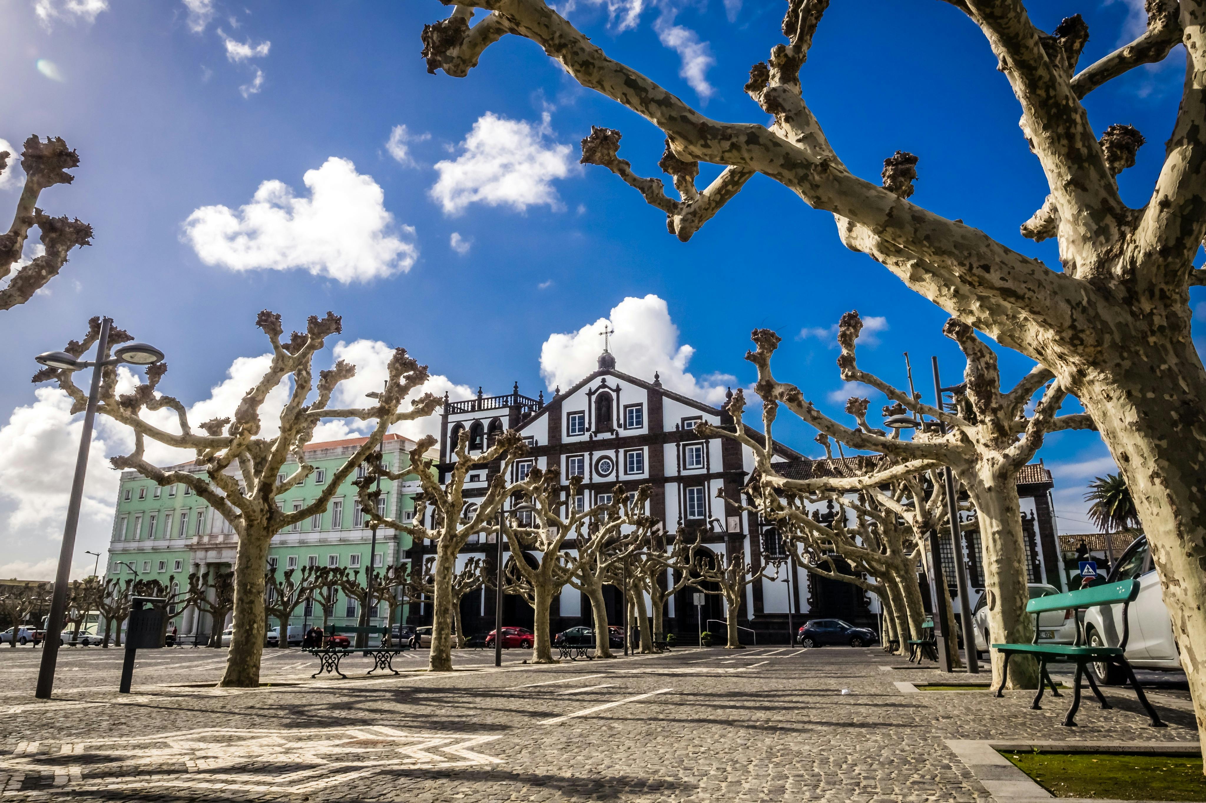 샌프란시스코필드