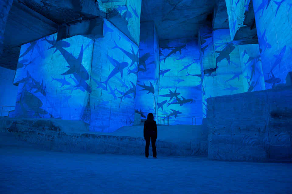 A person stands in a large cave-like space illuminated with blue light, featuring projected images of sharks on the walls.