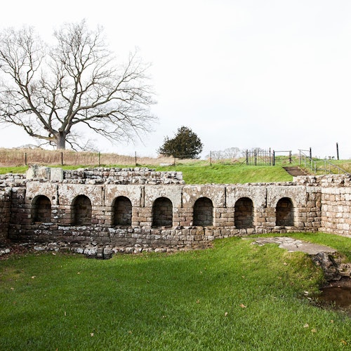 Chesters Roman Fort y Museo - Muralla de Adriano