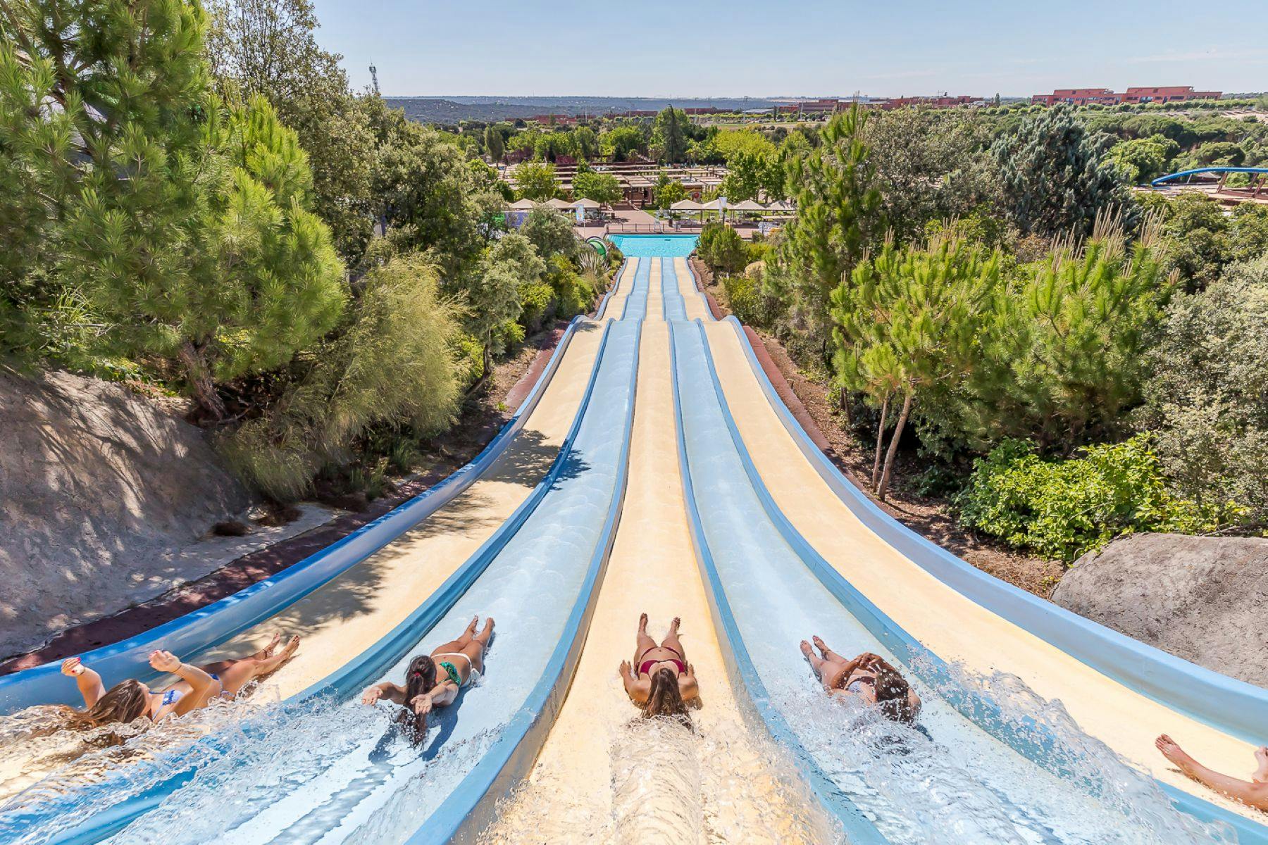 Quatre persones lliscant per tobogans d'aigua paral·lels en un parc aquàtic a l'aire lliure envoltat de vegetació en un dia assolellat.