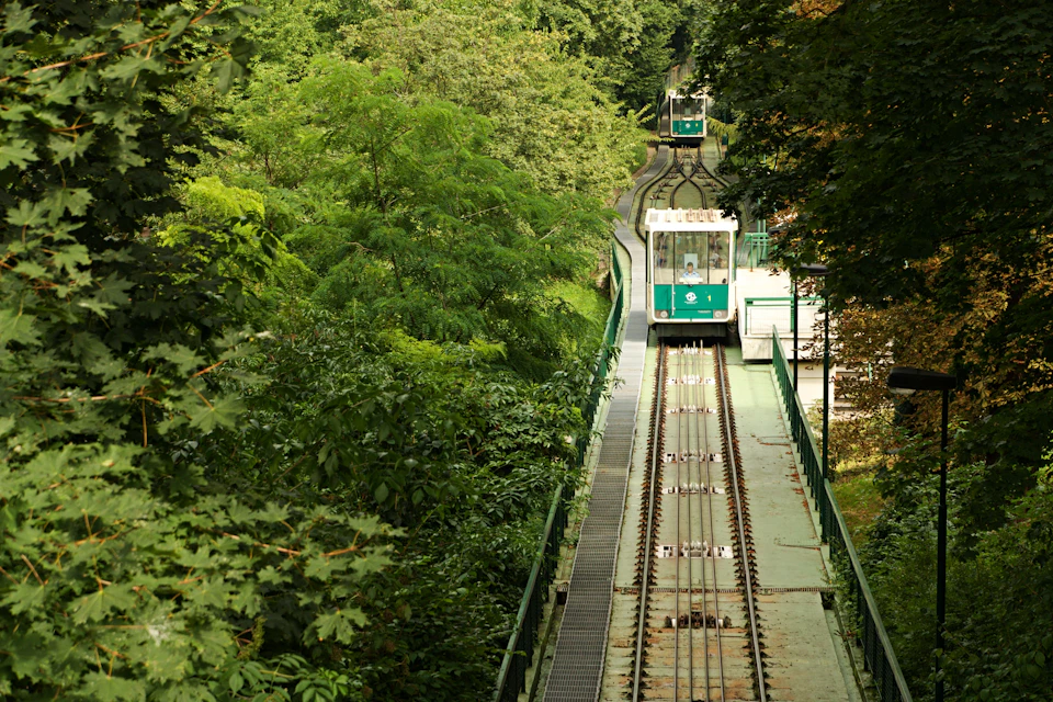 Two green trams on an inclined railway surrounded by lush, green trees in a forested area.