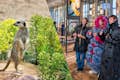 Συνδυάστε την επίσκεψή σας στον ARTIS Βασιλικό ζωολογικό κήπο του Άμστερνταμ με το Artis-Groote Musuem
