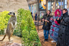 Combinez votre visite du zoo royal d'Amsterdam avec celle du musée de Groote.